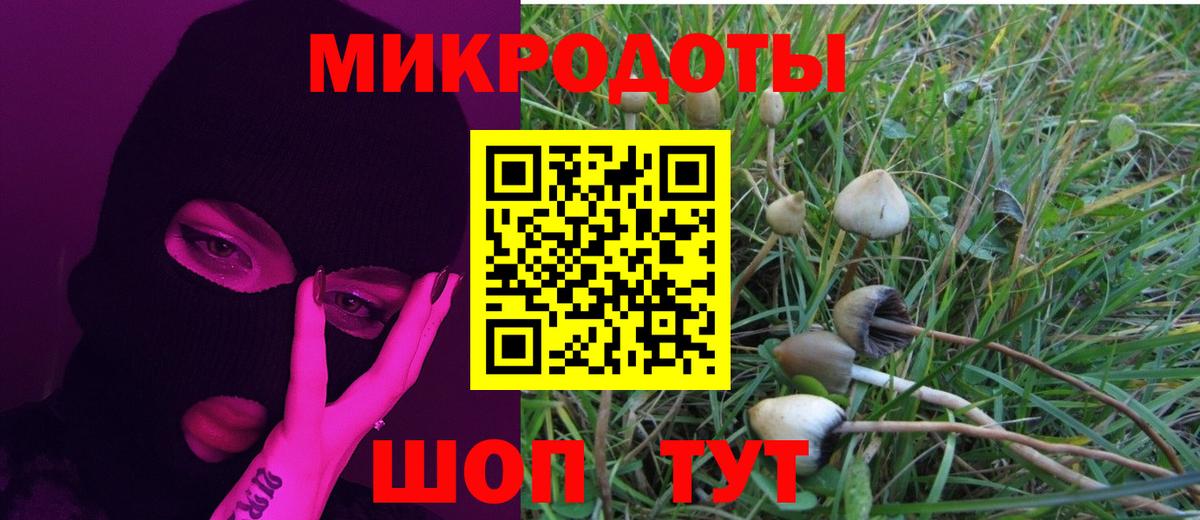 Черемхово  Псилоцибиновые грибы Cubensis  Вход с VPN 